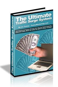 13-The Ultimate Traffic Surge System