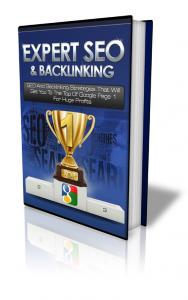 5-ExpertSEOandBacklinking