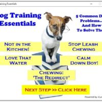 Free WSO - Dog training essentials review - Rebrandable software giveaway Review