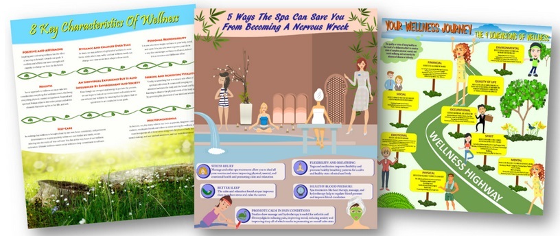 holistic-wellness-270-piece-plr-bundle-bonus