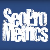 seoprometrics-review