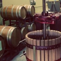how-to-make-home-made-wine-plr-download