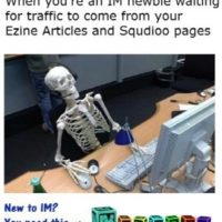 im-newbie-review