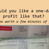local-website-profits-review