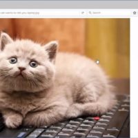 WP Site Guardian 2017 Review
