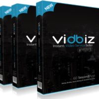 VidBiz Review