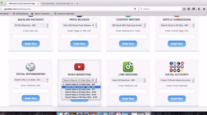 VidBiz Software