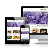 Herbs for Health PLR Review - One Of The Hottest Evergreen Niches