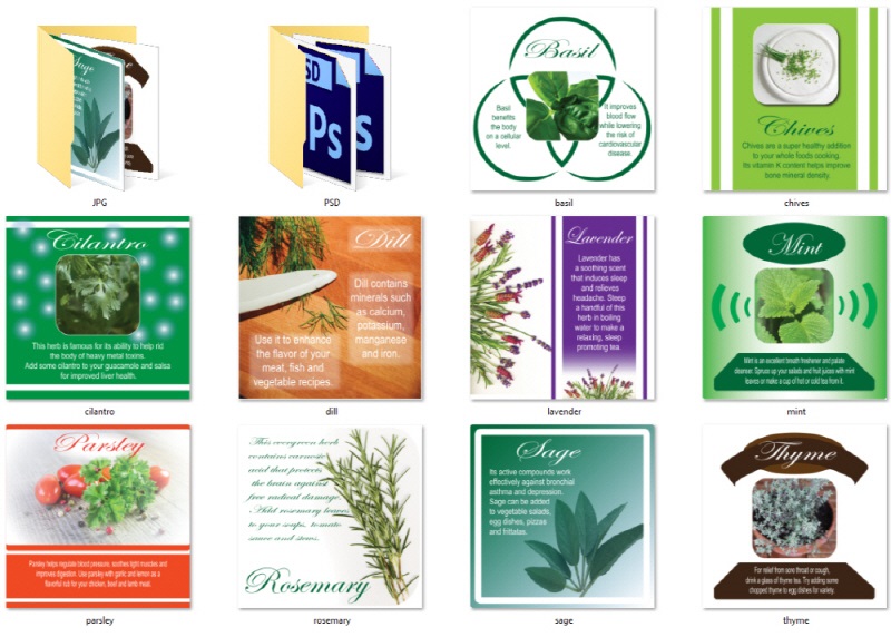 Module 6 10 Social Posters