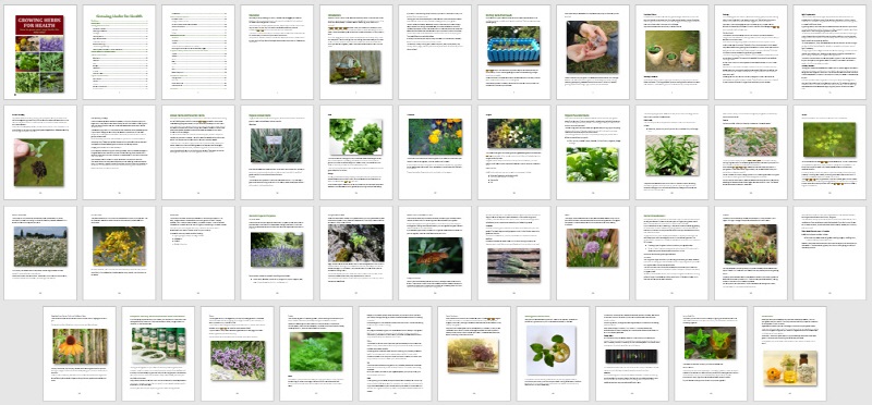 OTO Module 2 eBook - Growing Herbs for Health