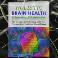 Holistic Brain Health and Mental Wellness 270 Piece PLR Pack Review