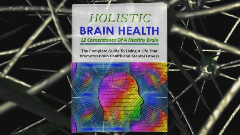 Holistic Brain Health and Mental Wellness 270 Piece PLR Pack Review