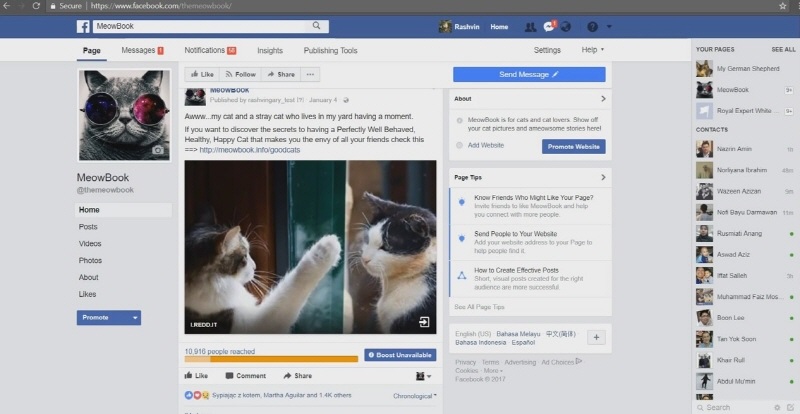 Simply Viral Works