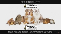 TRex MegaStore Free eCom Training Video 2