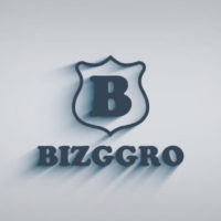 Bizggro Review