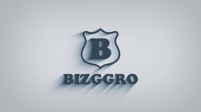 Bizggro Review