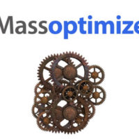 Mass Optimizer Review Demo Bonus