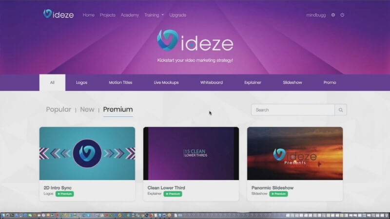 VidEze Demo