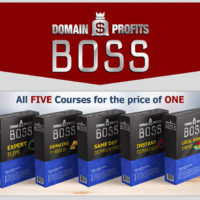 Domain Flipping Guide Domain Profits Boss Review