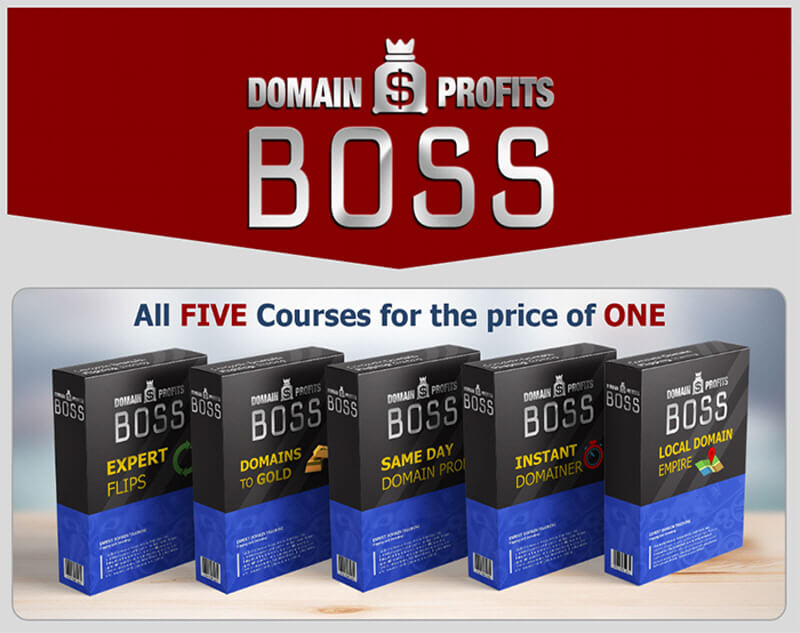 Domain Flipping Guide Domain Profits Boss Review