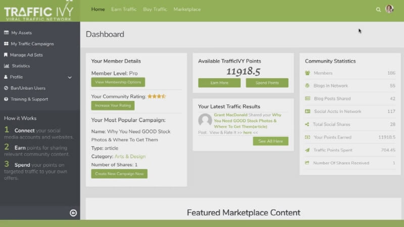 Traffic Ivy Demo