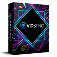 VidSting Review