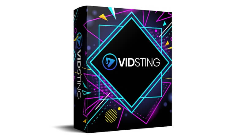 VidSting Review