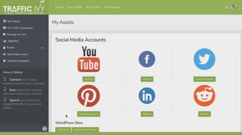 Viral Free Traffic Network Platform