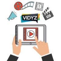 Vidyz Review