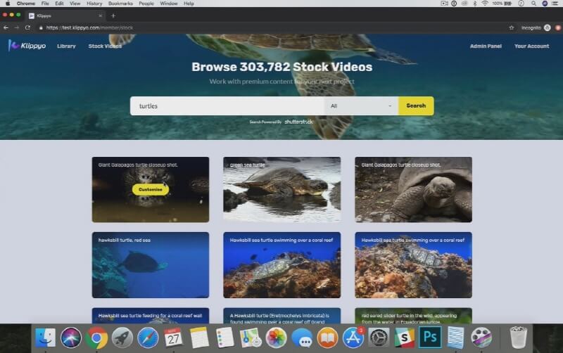 All In One Video Creation Tool