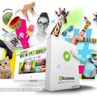 BuzzPress Review