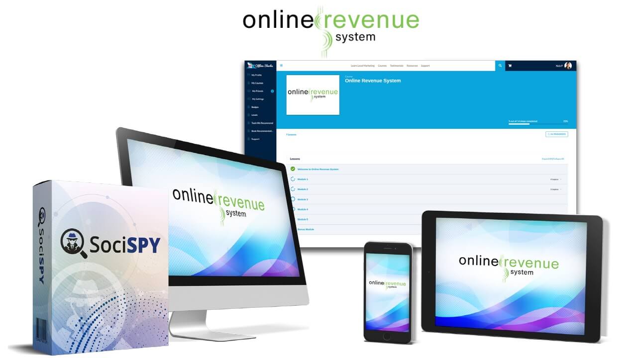 Online Revenue System Review