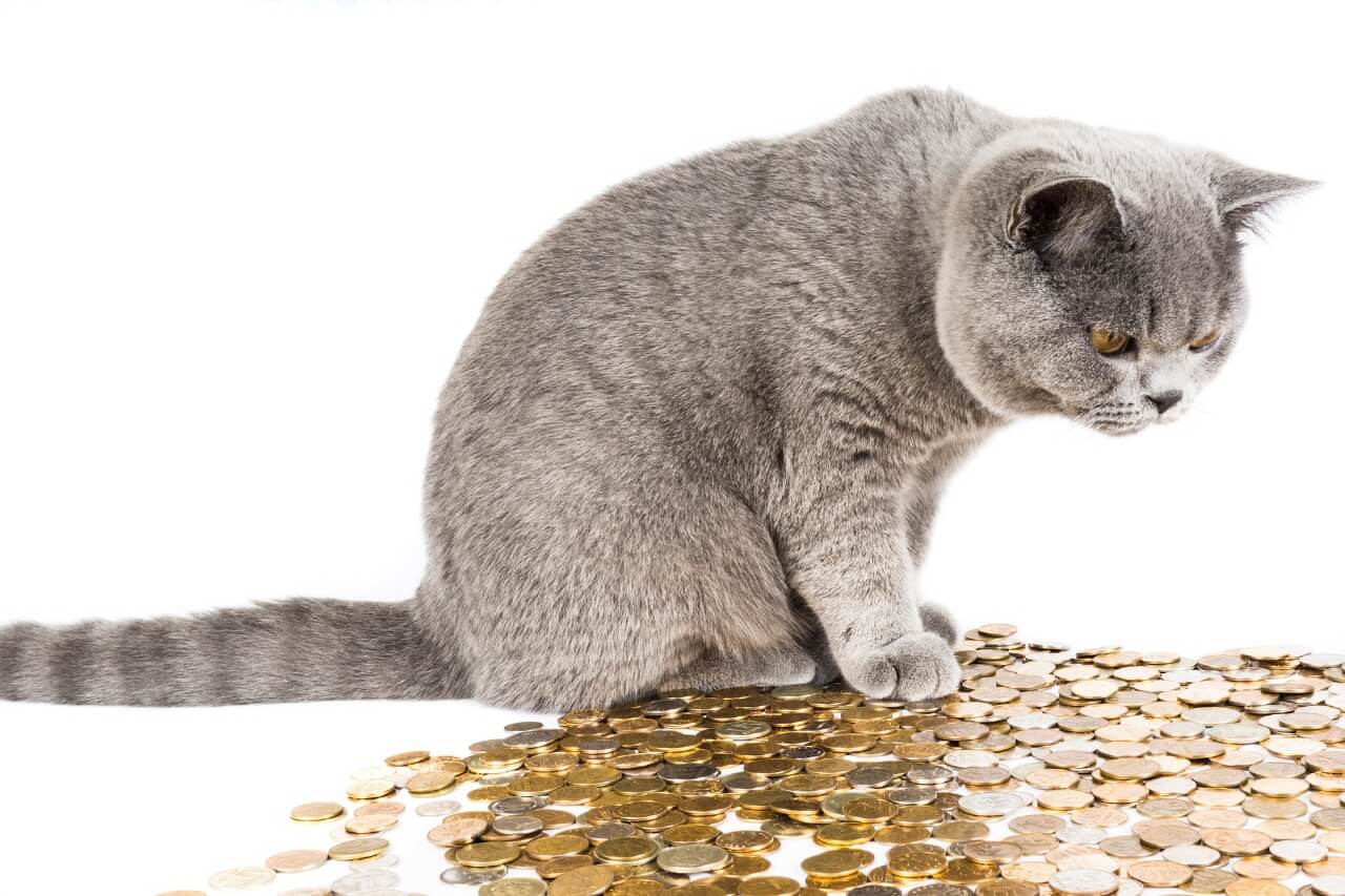 These People are Making Money!